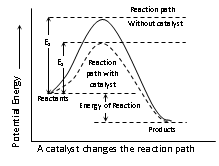 507_rate of reaction10.png